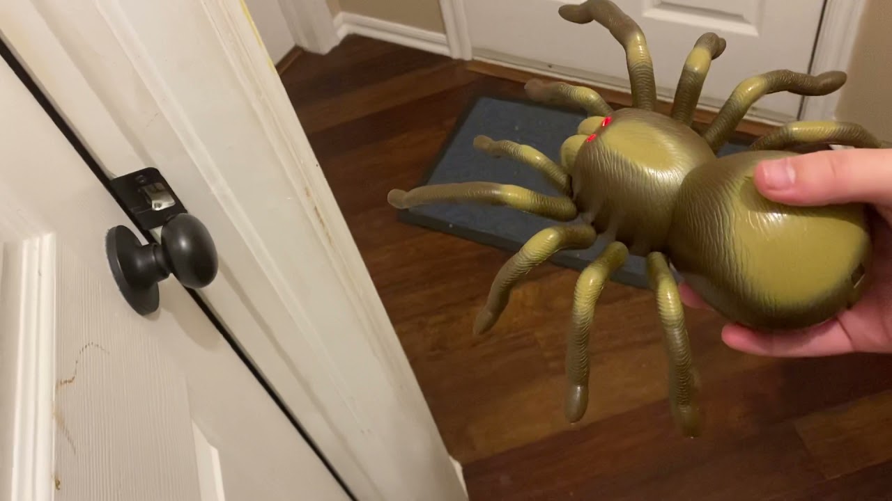 RC Tarantula Spider