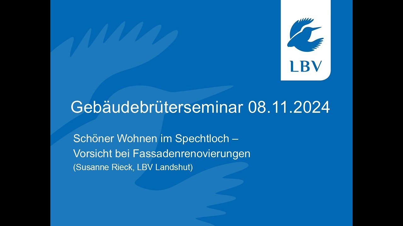 Schöner Wohnen im Spechtloch – Vorsicht bei Fassadenrenovierungen (Susanne Rieck, LBV)