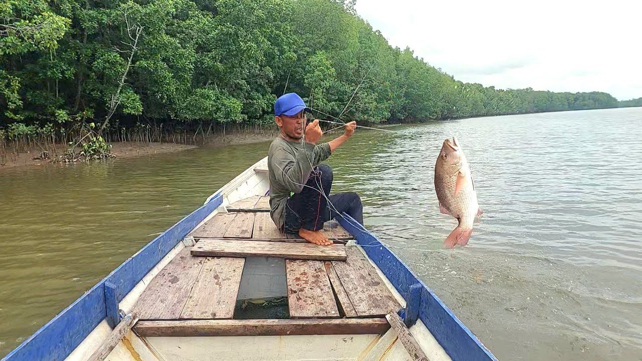 TAK DISANGKA PANTAI DANGKAL DIHUNI MANGRUVE JACK BABON