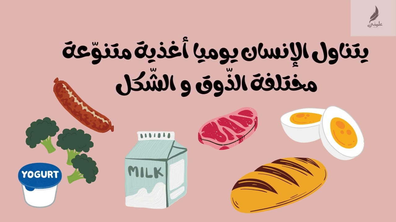 الهضم الجزء الأول  السنة الرابعة