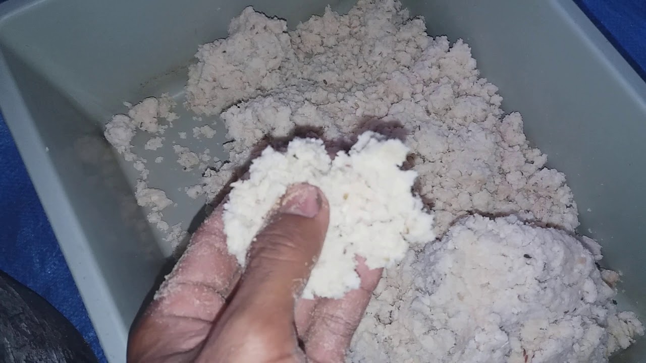 cara membuatan pelet azolla 