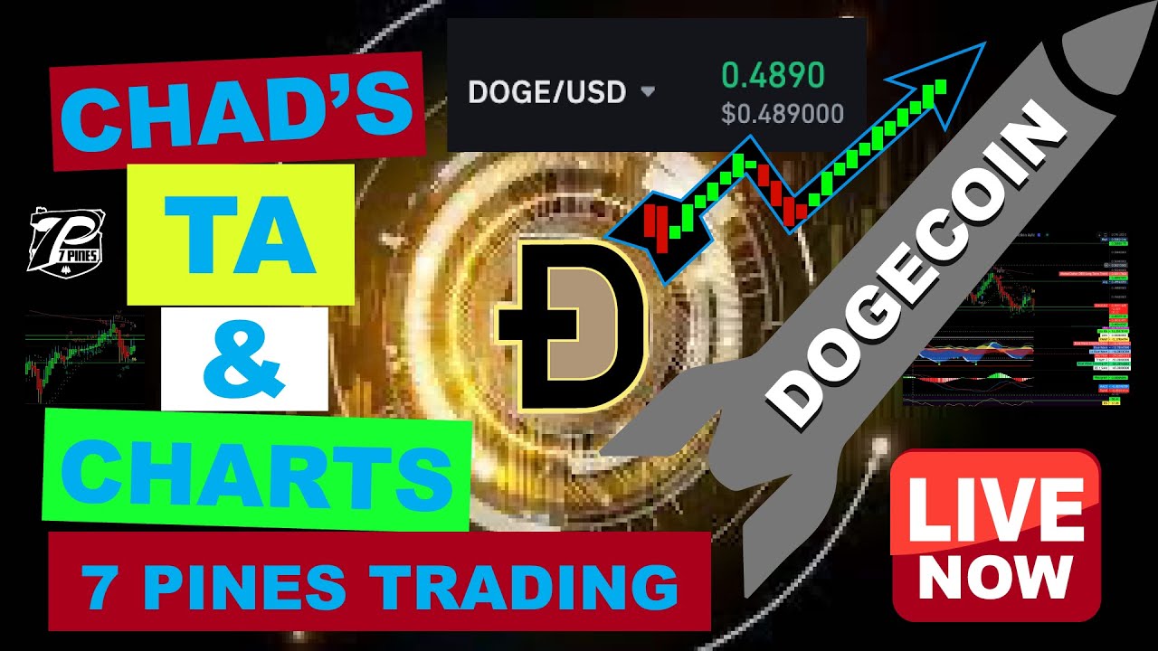 Dogecoin Chad's Chart and TA Elon Musk HODL DOGE COIN 69 80? CENTS DOGECOIN #DOGE #CRYPTO TAMETHEARK
