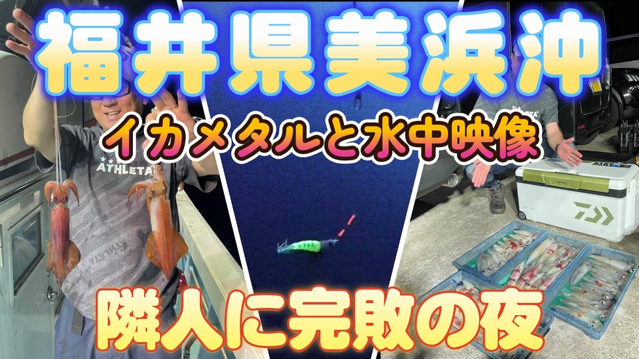 美浜沖イカメタル(ブルーノート)