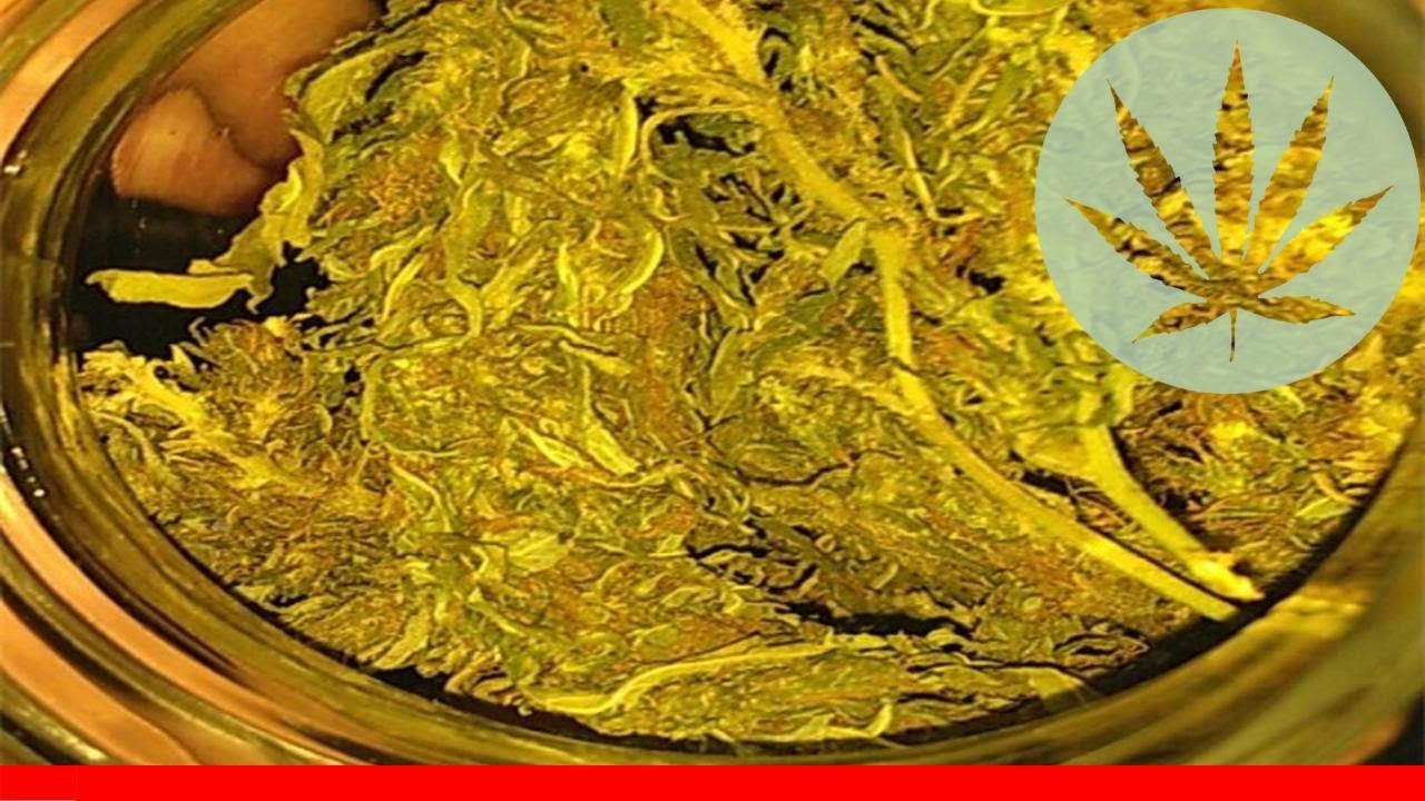 Pink Mango - All About This Strain