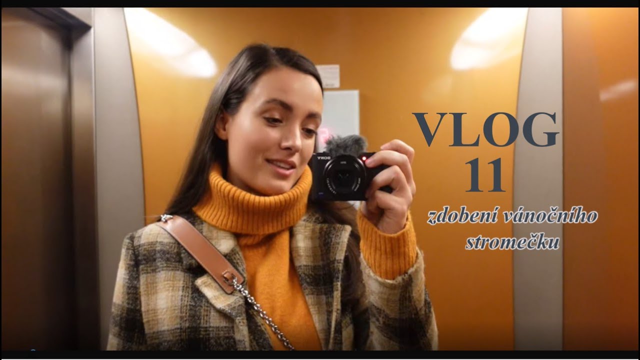 VLOG č. 11 |  Zdobení vánočního stromečku // Terry Dušková