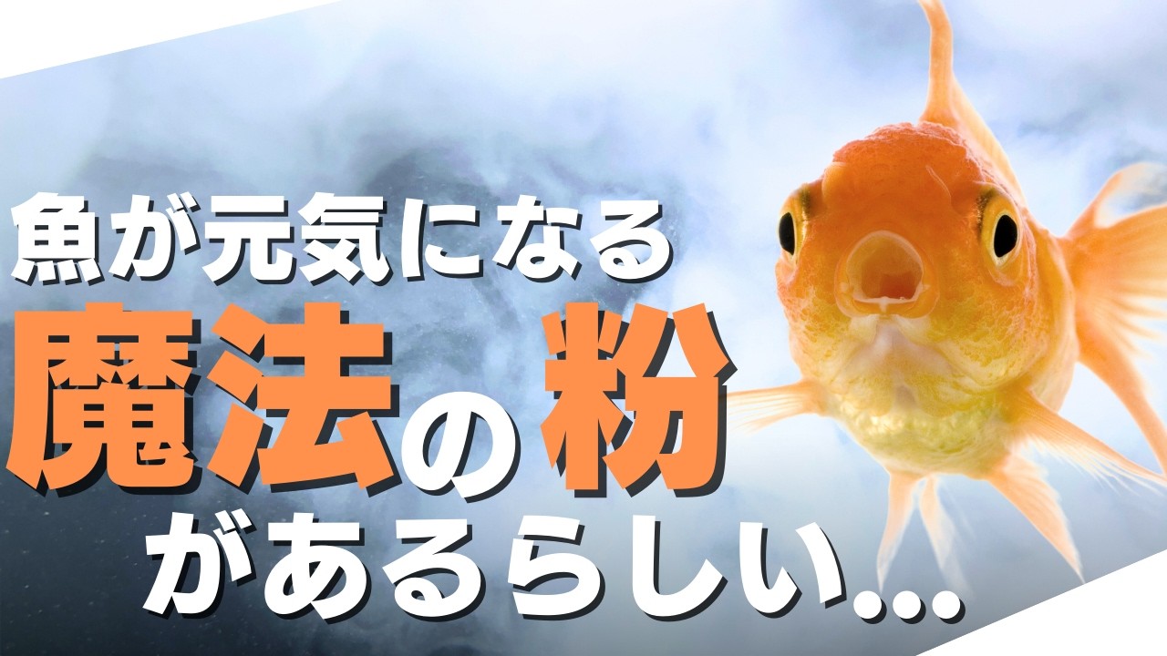 最強のろ材「リバース」シリーズを徹底解説！【ろ過材】【リバース】【カルキ抜き】
