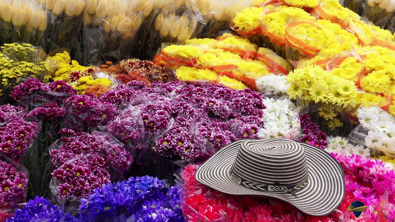 Travel Colombia - Culture & History