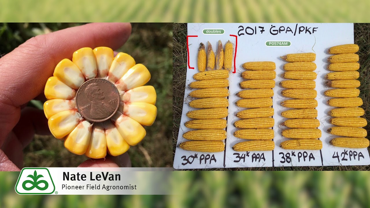Product Spotlight P0574AM and P0574AMXT