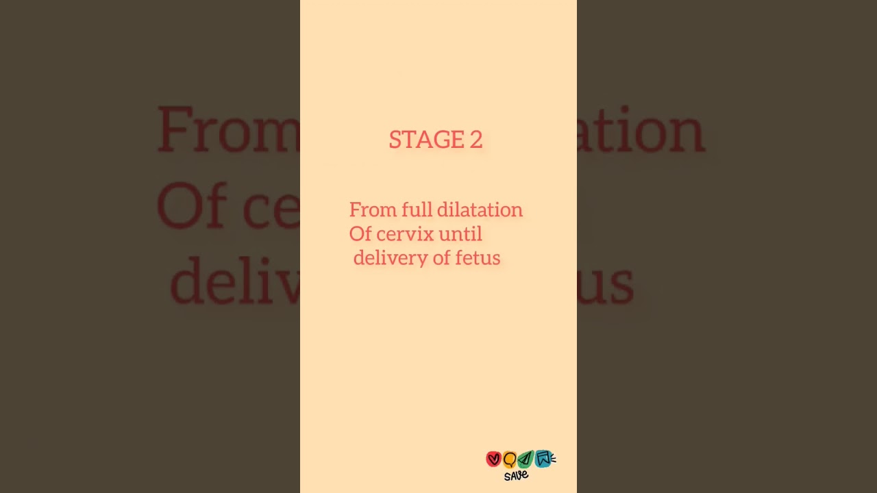 STAGES OF LABOR 