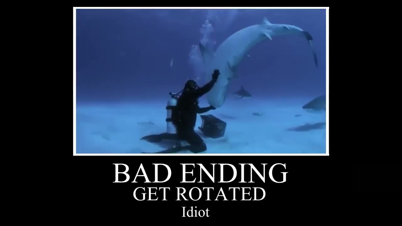 Get Rotated Idiot | All Endings