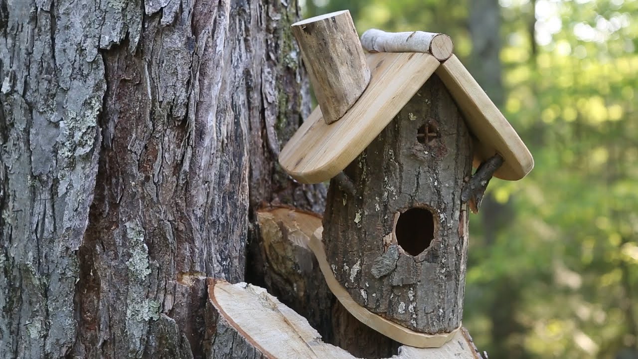 Build a Log Bird House