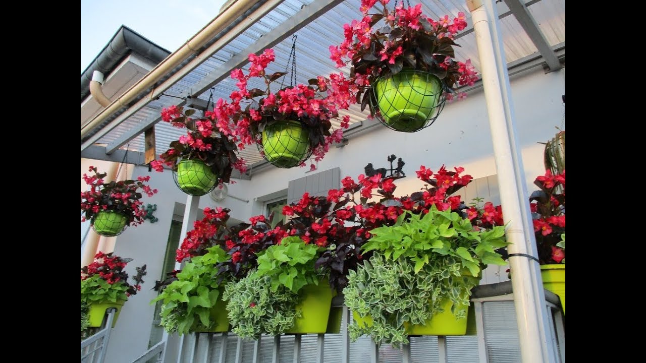 De magnifiques jardinières originales, sans entretien et résistantes à la chaleur