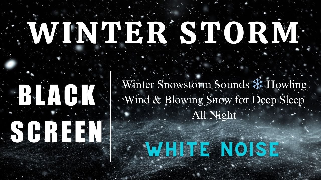 Winter Snowstorm Sounds ❄️ Howling Wind & Blowing Snow for Deep Sleep All Night
