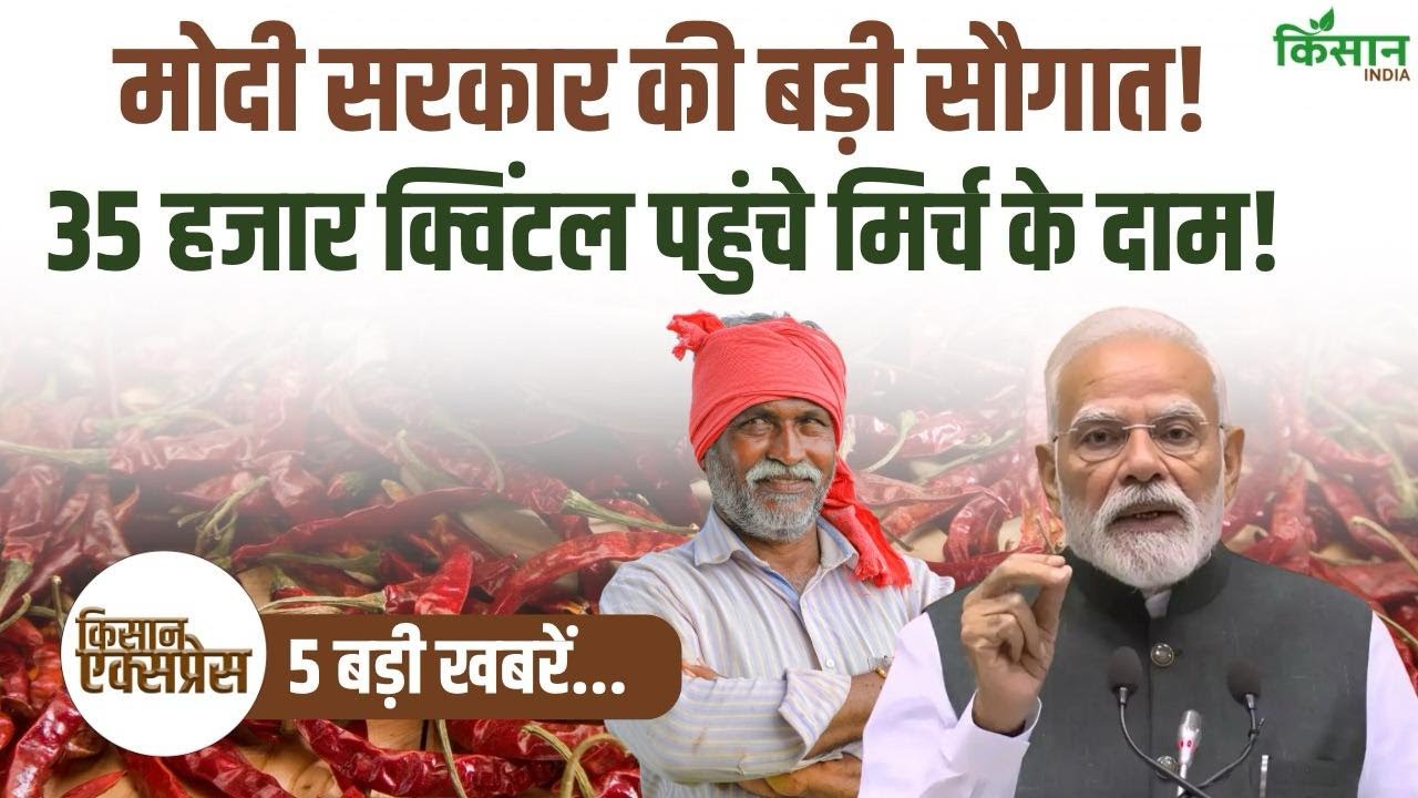 Kisan Express मोदी सरकार की बड़ी सौगात! किसानों की बल्ले-बल्ले! 35 हजार क्विंटल पहुंचे मिर्च के दाम!