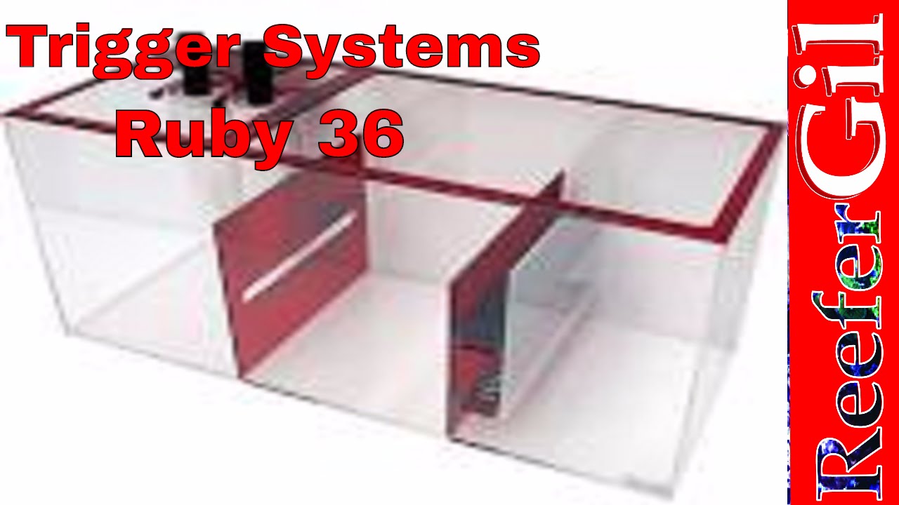Saltwater Aquarium Refugium Sump Upgrade