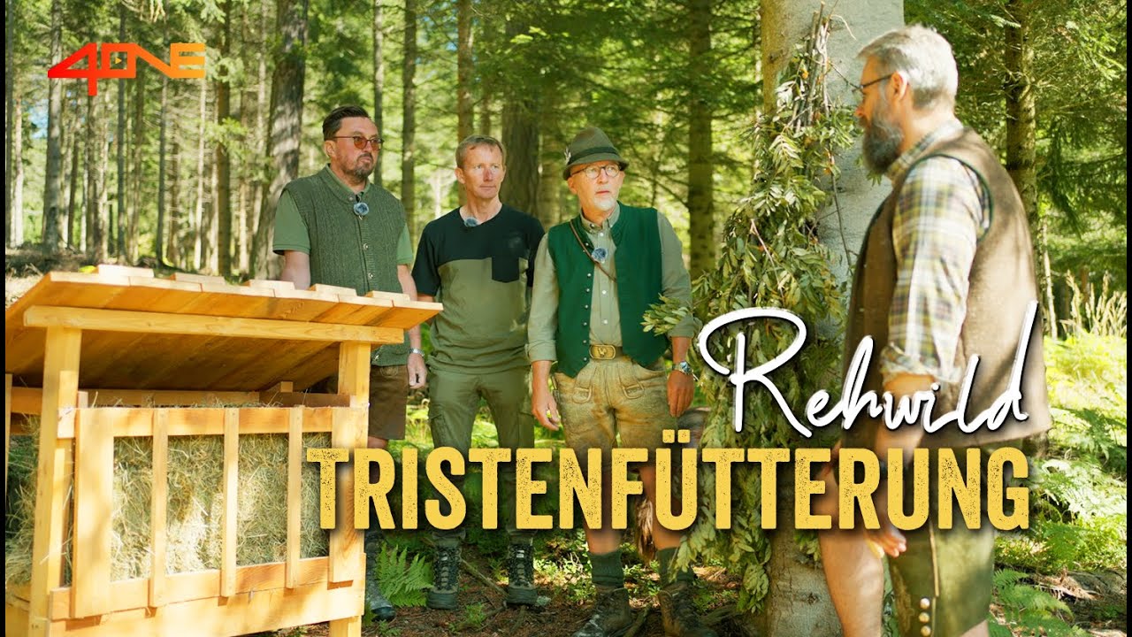 Wo ist der perfekte Standort für die Rehfütterung? Bau einer Rehwild-Tristenfütterung - TEIL 2