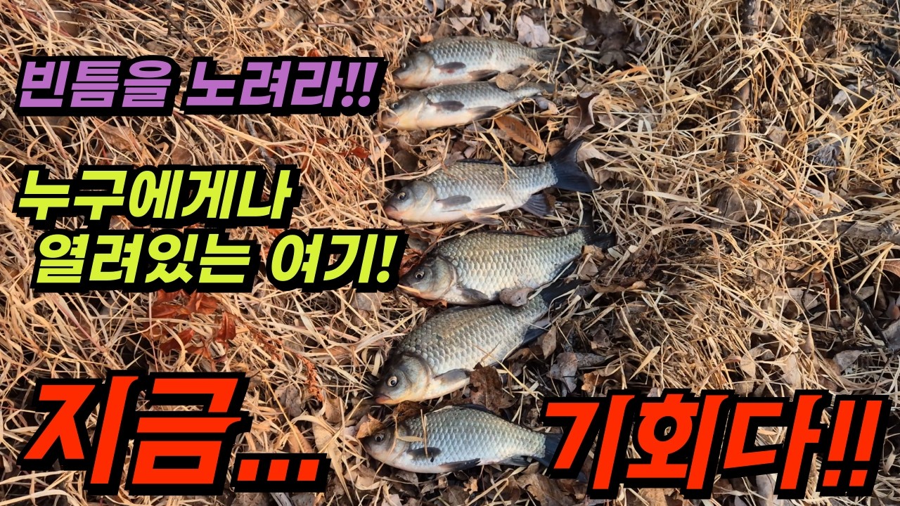 엄청난 인파 속에서 찾은 나의 포인트!! 여기서 붕어낚시~ 재밌다~!!
