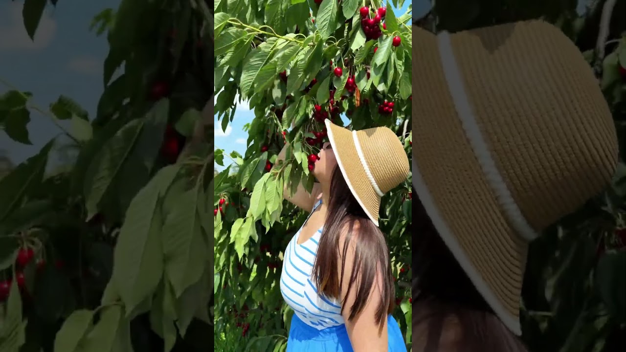 Cherry Picking 🍒