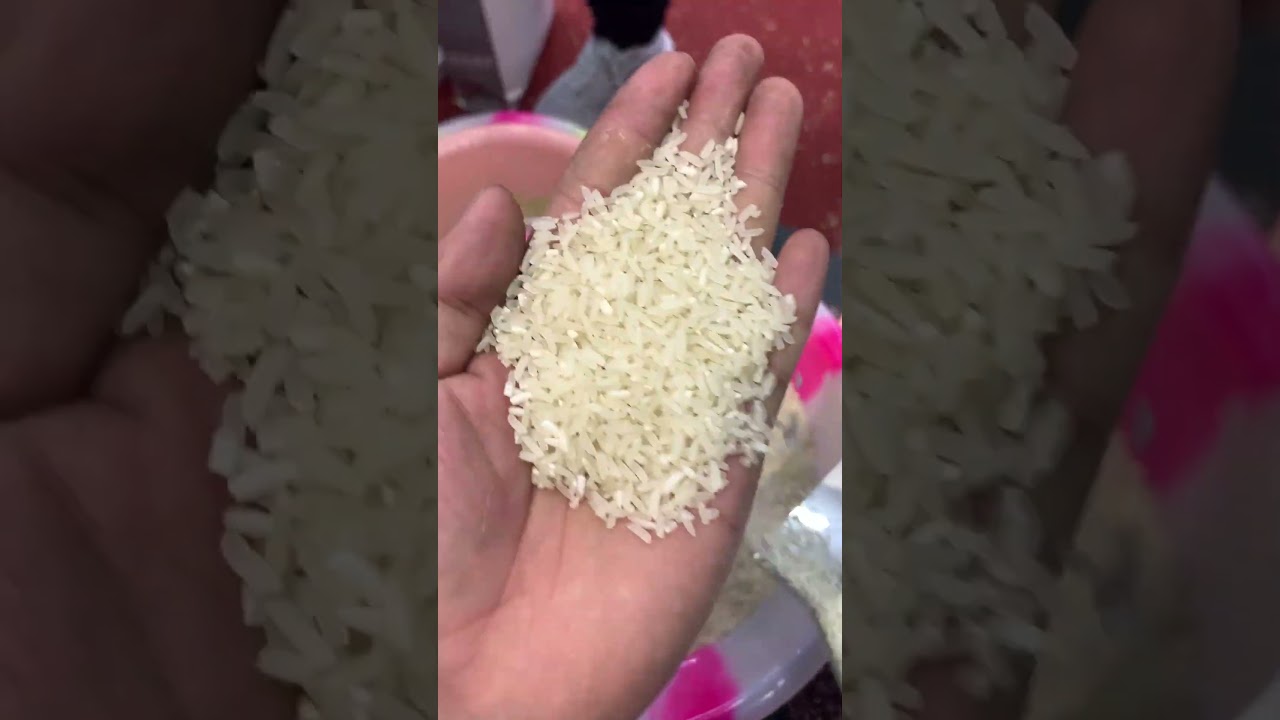 5in1 combined rice mill machine 170kg/hour
