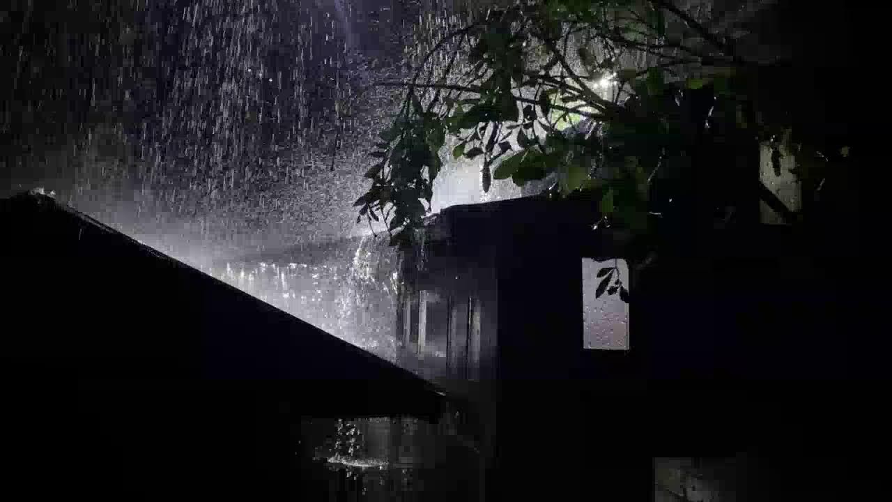 Calming Rain Sounds on Tin Roof for Stress Relief
