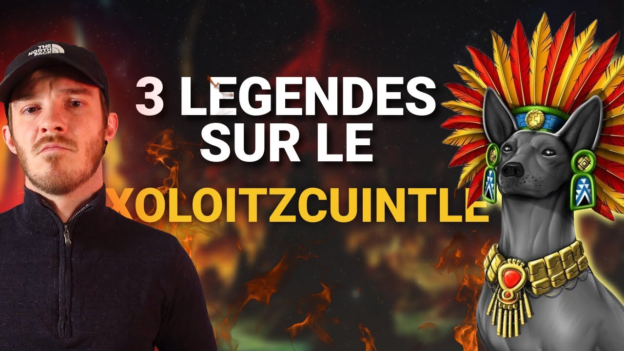 LEGENDE #1 : SUR LE XOLOITZCUINTLE (CHIEN NU DU MEXIQUE/XOLOS)