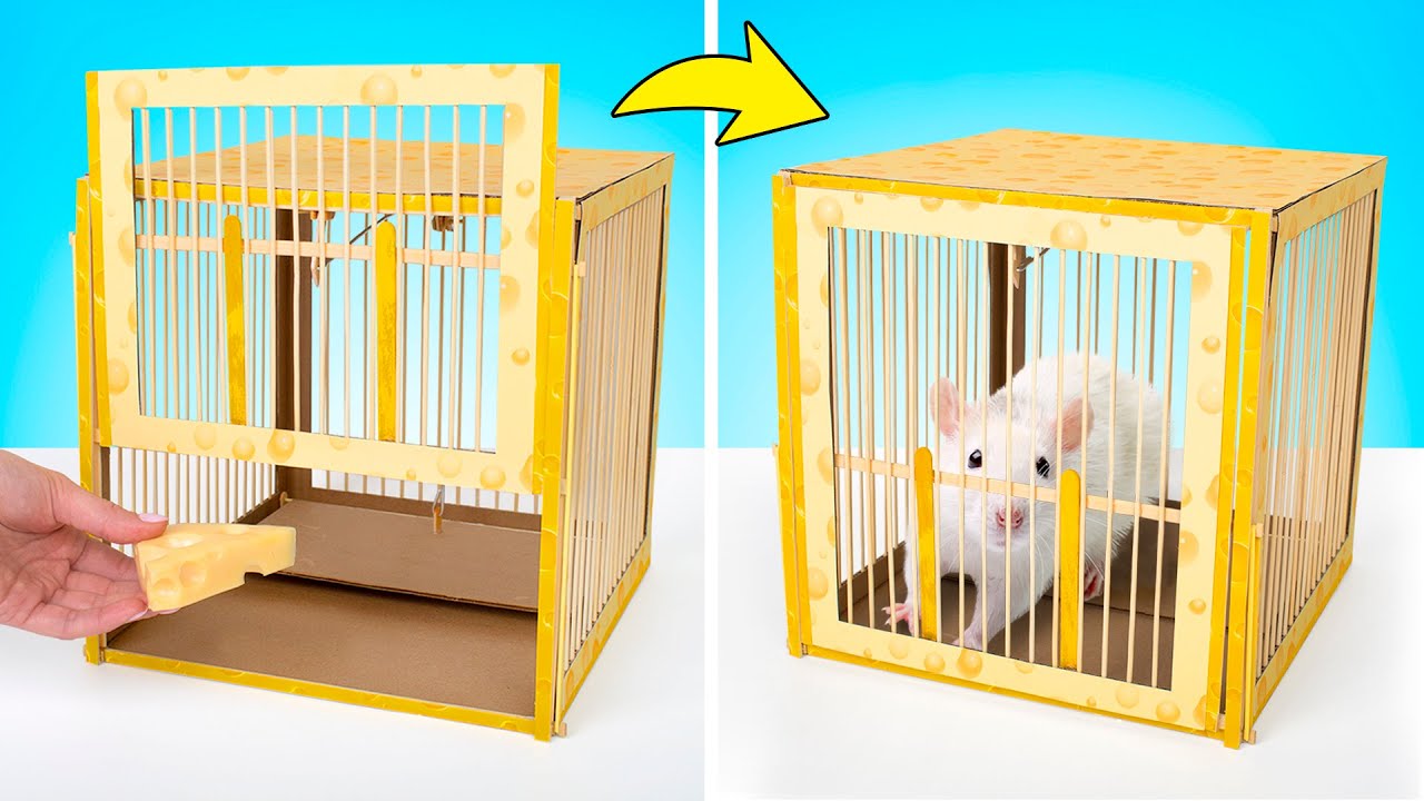How To Make Сheese Rat Trap | No Rats Harmed