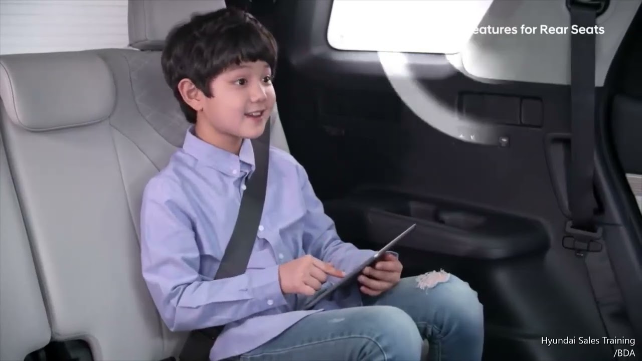 Hyundai Palisade Driver Talk and Quiet Mode and Rear Seats Driver A/C Control