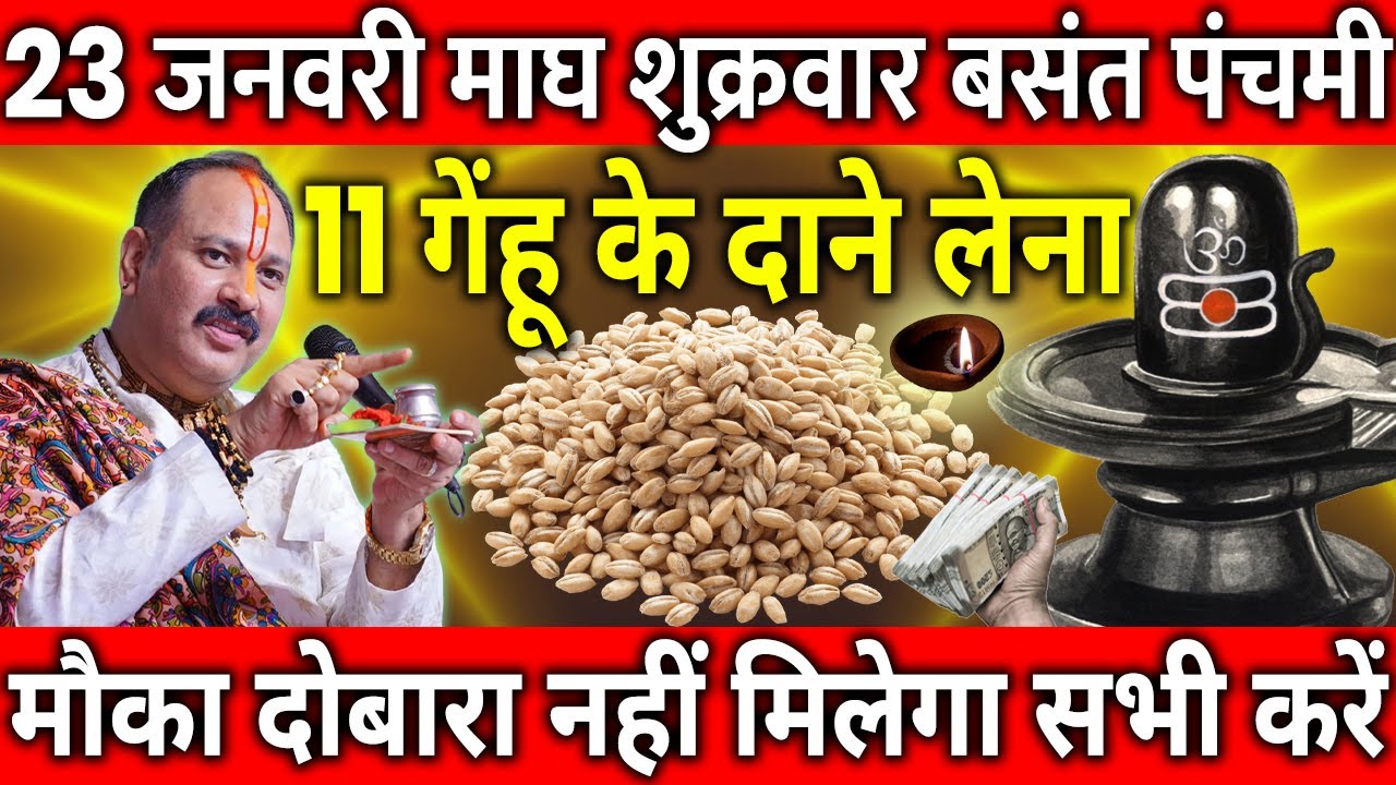 23 जनवरी माघ शुक्रवार बसंत पंचमी के दिन 11 गेंहू के दाने वाला उपाय जरुर करे || Pradeep Ji Mishra