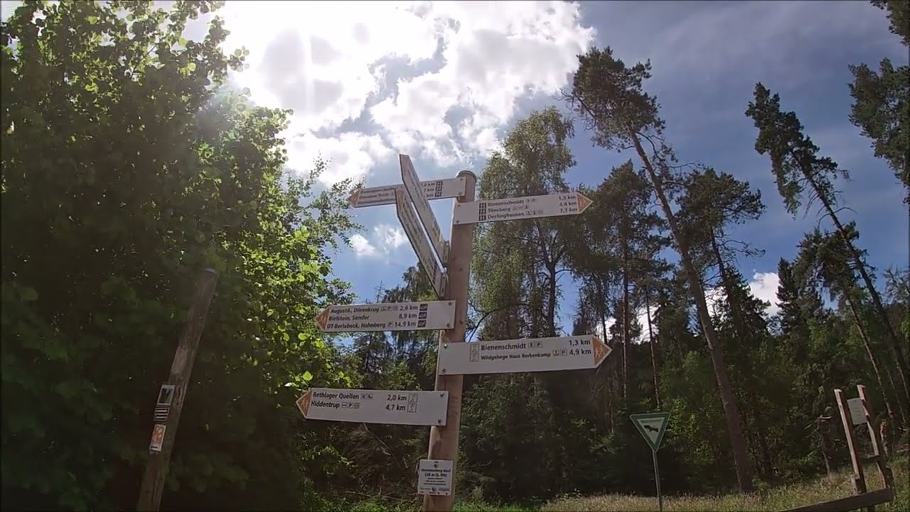 Wandern in Lippe: #38 | Holzweg in Hörste