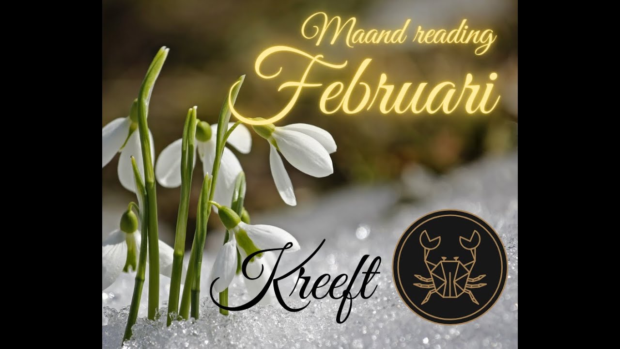 Sterrenbeeld  Kreeft voor de maand feb. Grijp deze kans, hier heb je opgewacht.