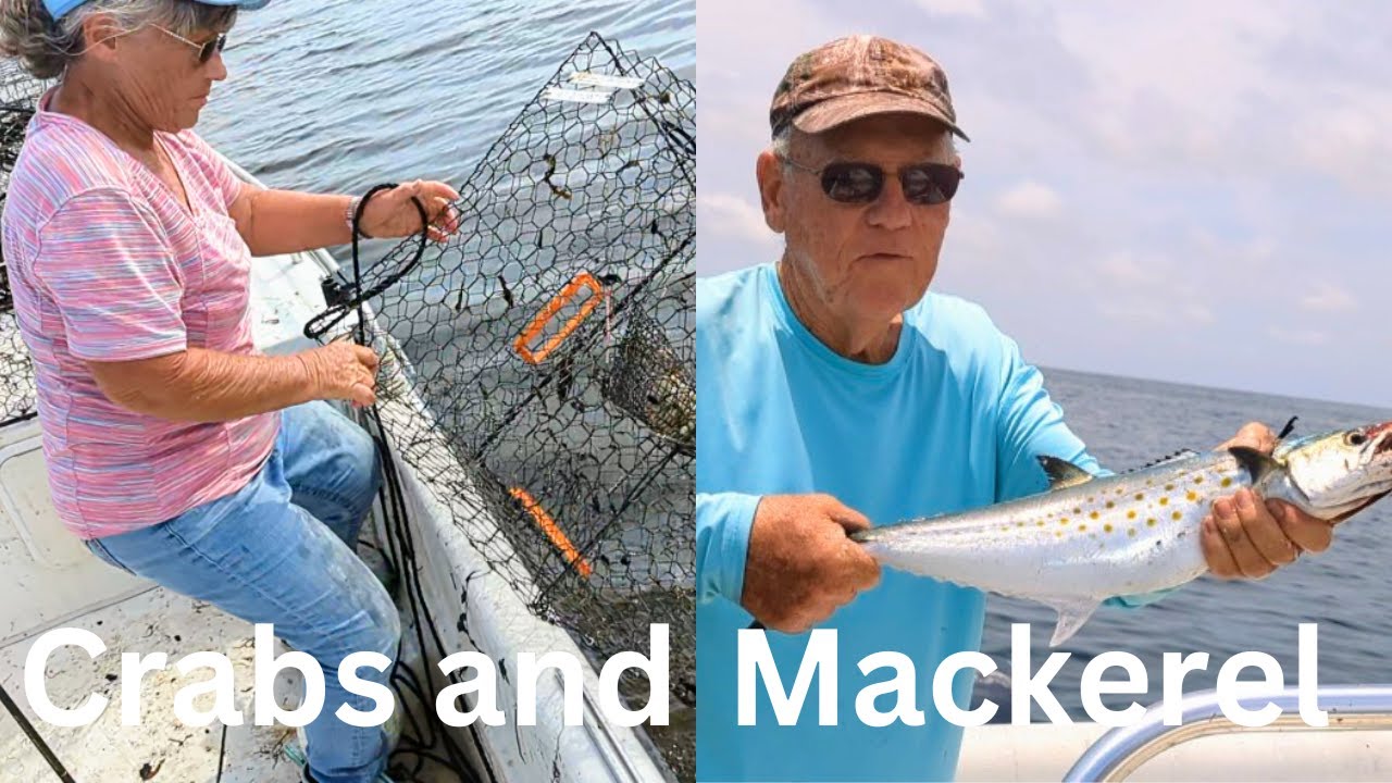 Bad Day Crabbing But A Great Day Fishing (Catch And Cook)