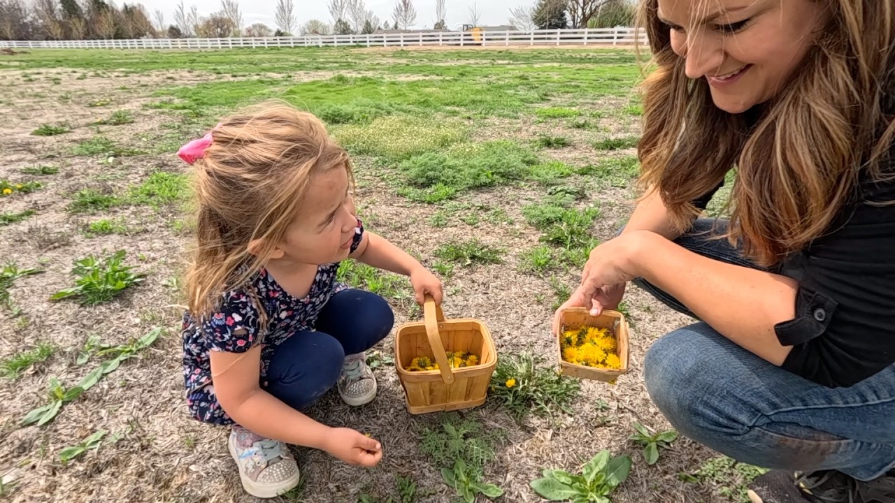 Making Dandelion/Honey Ice Cream & Planting Lots of Onions! 🌼🍦🧅  // Garden Answer