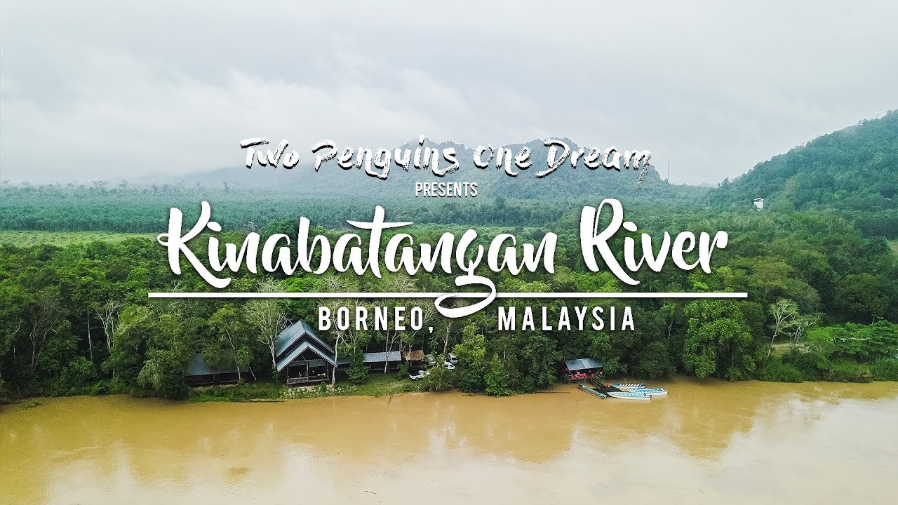 Kinabatangan River! Borneo, Malaysia