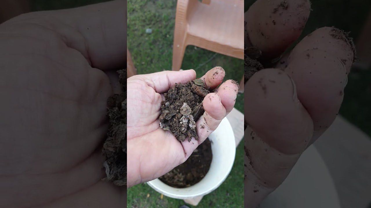 السماد العضوي والحديقة المنزلية 🌱⚘️جنتي حديقتي⚘️🌱