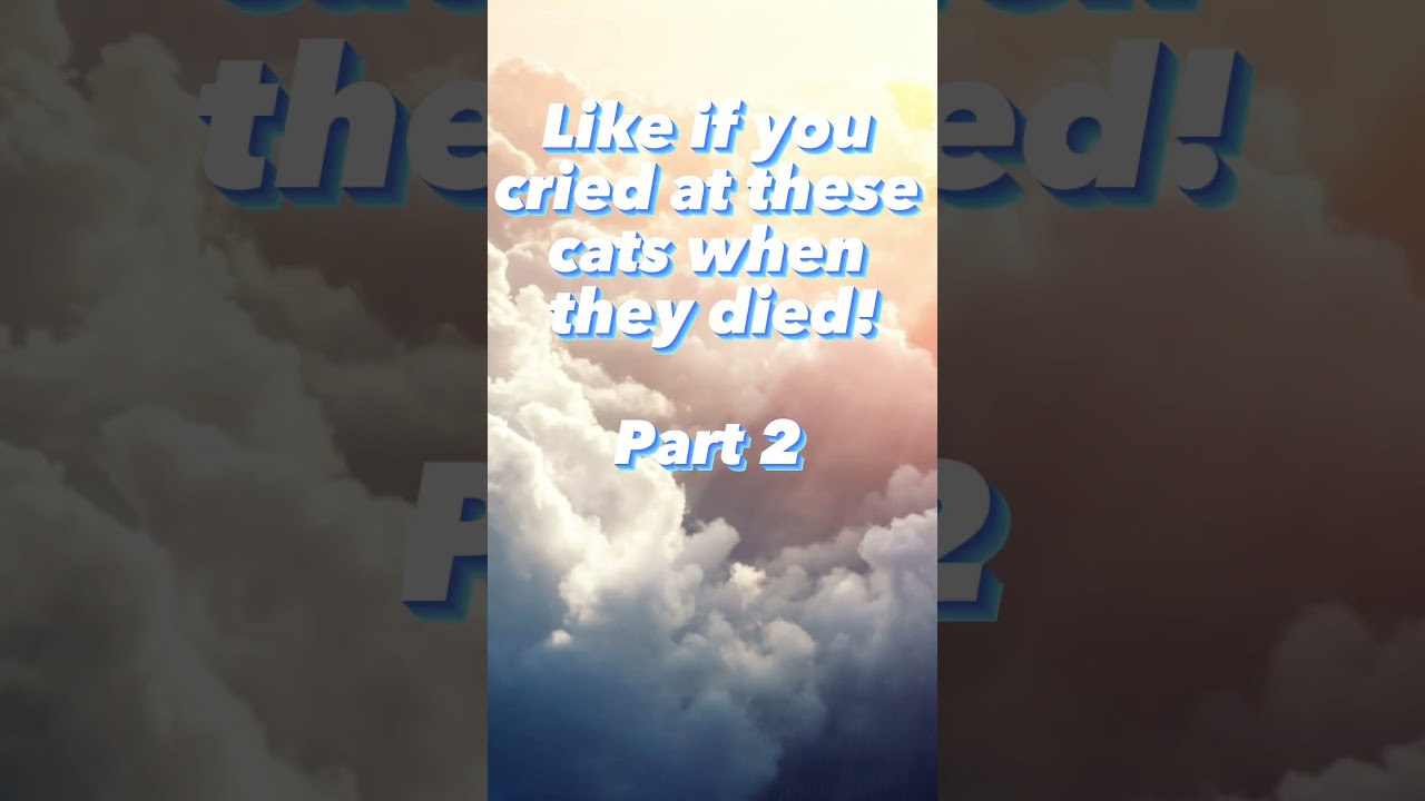Like if you cried at these Cats when they died!// Part 2//  #warriorcats #silverstream #yellowfang