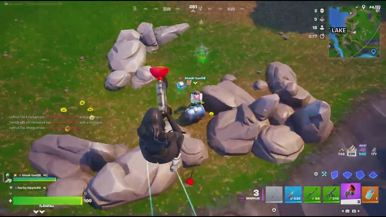 Fortnite with my cuzzy