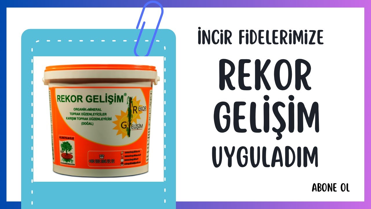 Rekor gelişim uygulaması