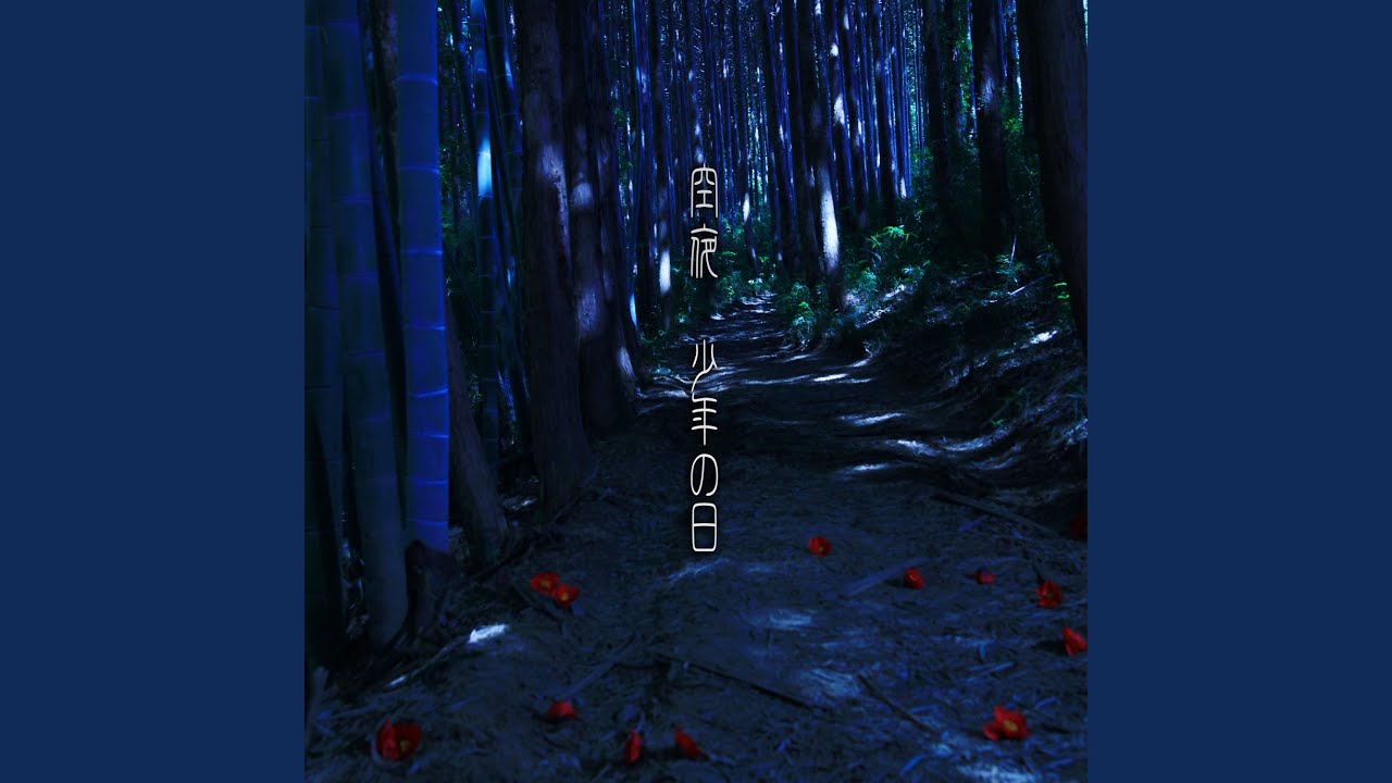 少年の季節