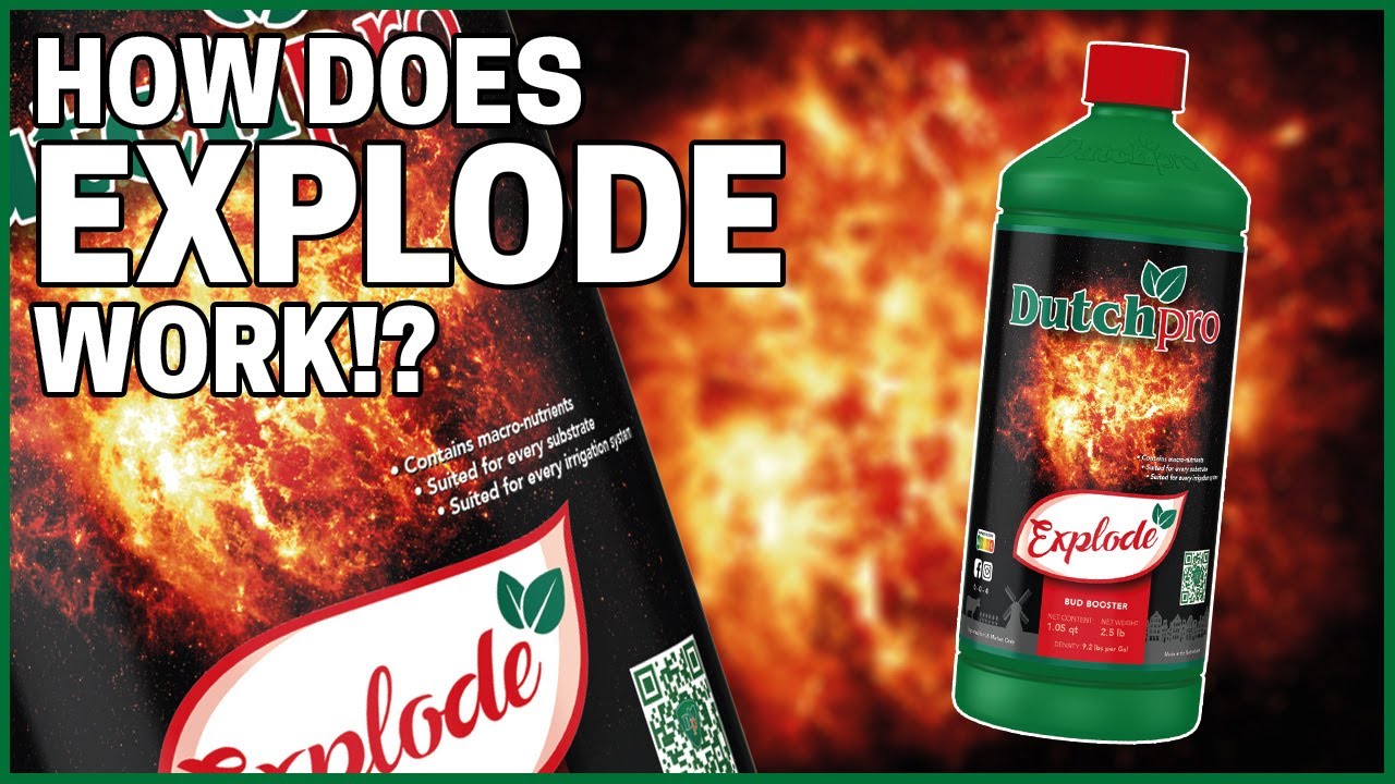 Explode Bud Booster : How it works