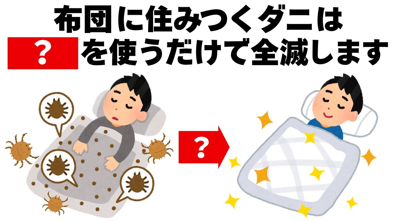 布団のダニを簡単に全滅させる方法4選　毎日を快適にするライフハック雑学