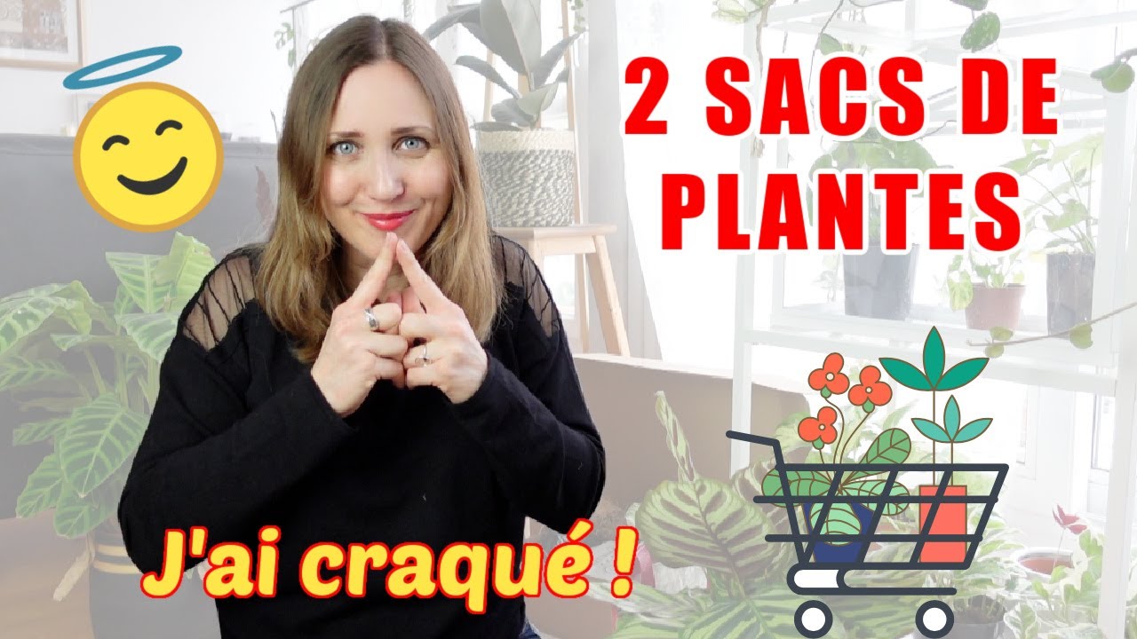 🪴 HAUL PLANTES (encore 😅) : plantes d'intérieur et plantes potagères ! 🍅