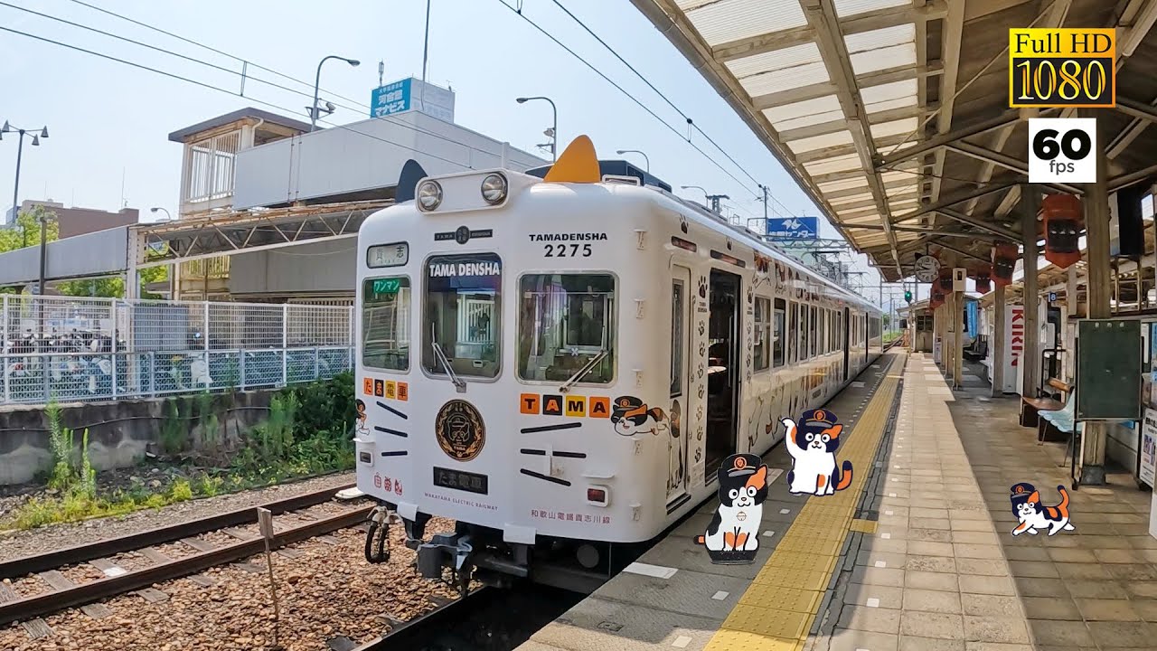 JAPAN TRAVEL | Ride the Tama Densha | The cutest cat train | Visited Tama Cafe at Kishi Station