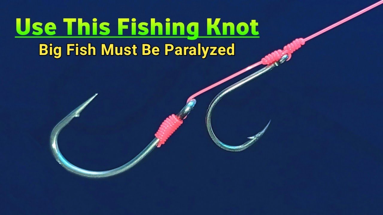 How to properly tie a fishing hook for big fish || Bottom fishing