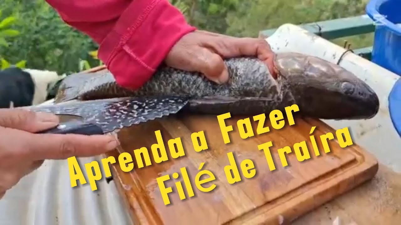 Filé de Traíra   Faça Você Mesmo 
