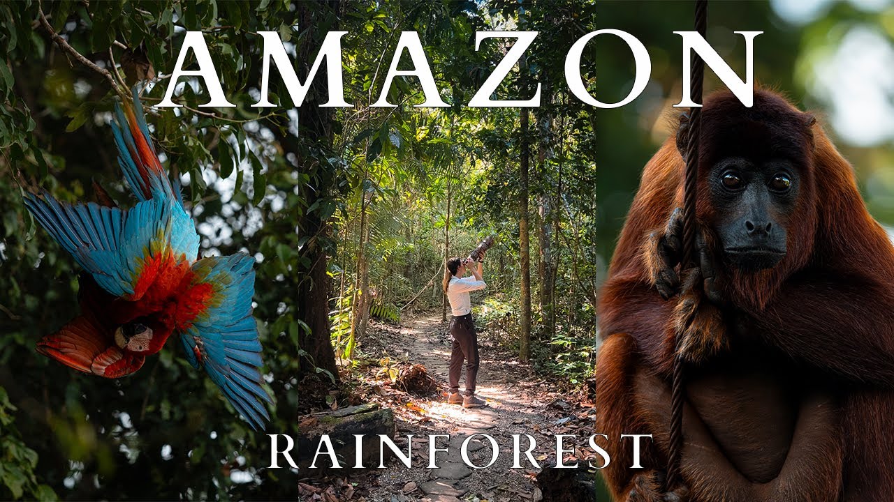 I Travelled Deep into the Peruvian Amazon. This Is What I Found.