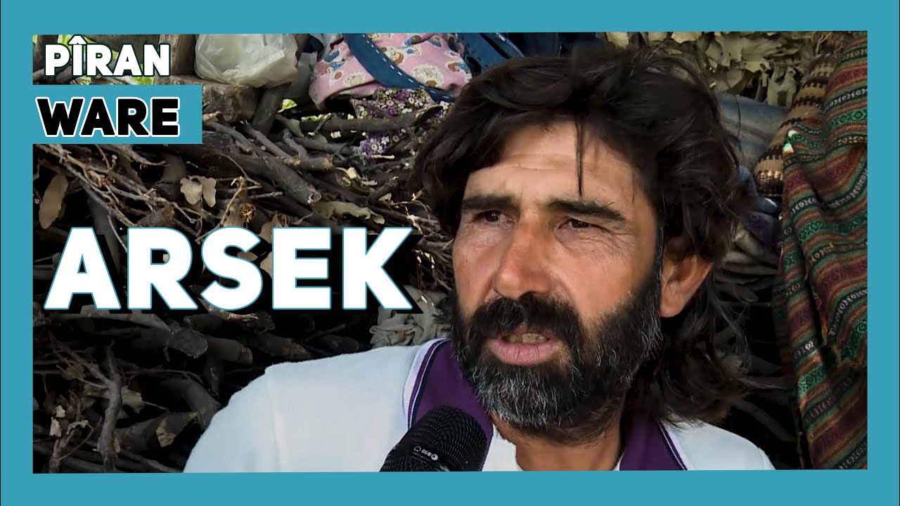 WARE - ARSEK /  (PÎRAN)