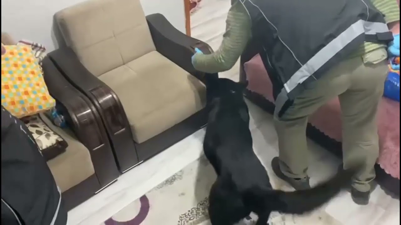 Samsun’da Koltuk İçine Zulalanmış Uyuşturucu Yakalandı