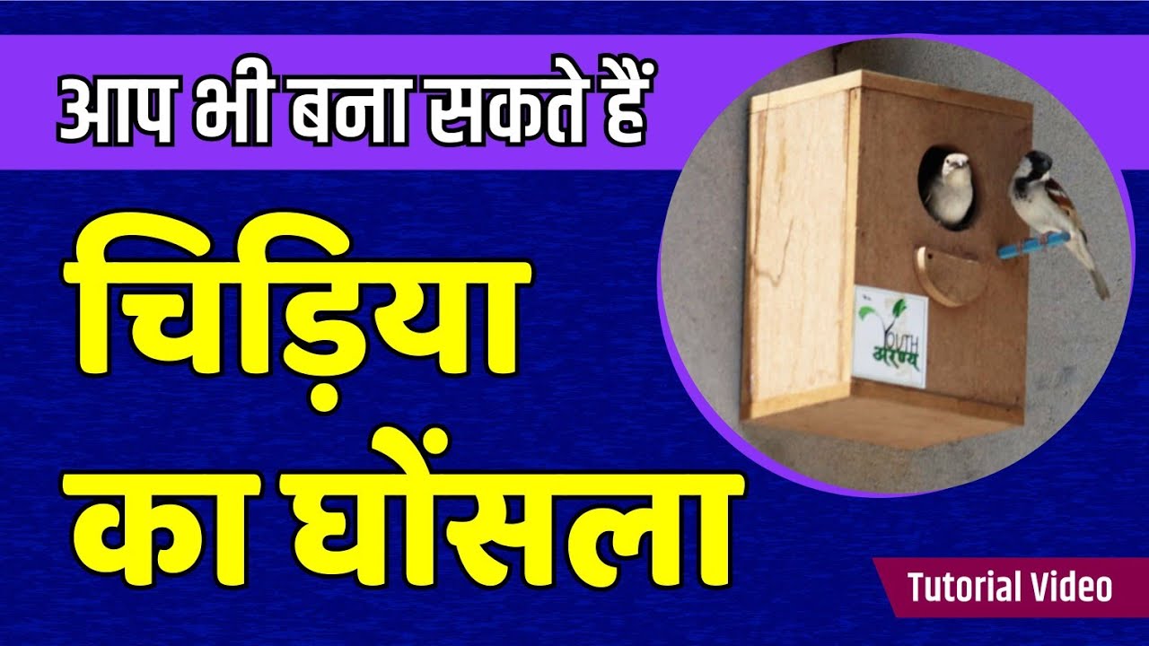 घर बैठे कैसे बनाएं चिड़िया का घोंसला? DIY Bird's Nest: Create a Cozy Home for Feathered Friends 🐦