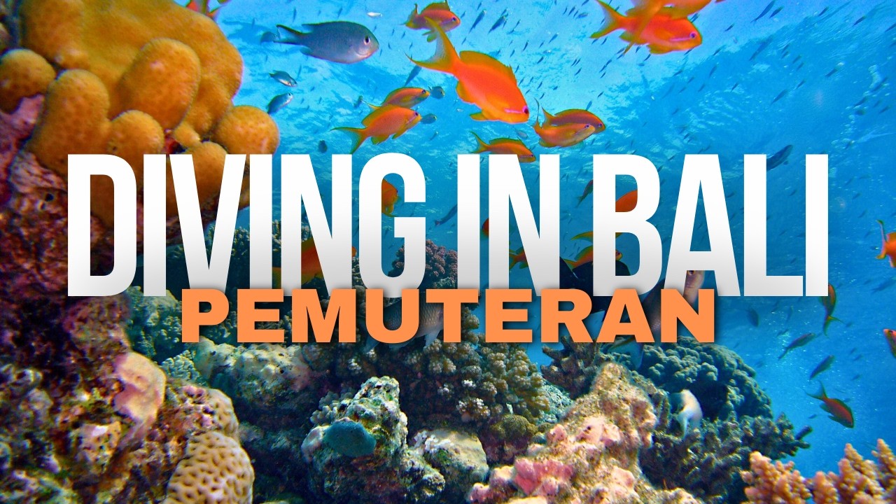 Scuba Diving Paradise in Pemuteran, Bali | Menjangan Island