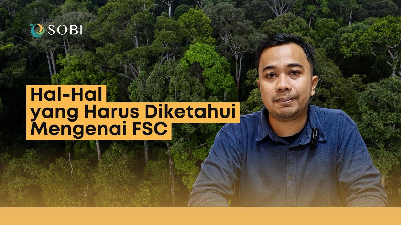 Hal-hal Yang Harus Diketahui Mengenai Forest Stewardship Council (FSC)